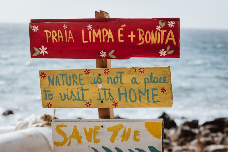 Wooden Sign Painting