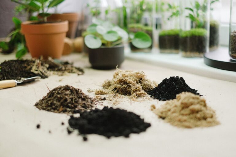Terrarium Building